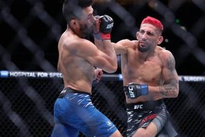 Best Tampa MMA Gyms & Training | Ultimate Guide to MMA: Training, Techniques, and Top Fighters in The World