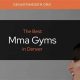 Best MMA Gyms & Training in Denver, CO | Ultimate Guide to MMA: Training, Techniques, and Top Fighters in The World