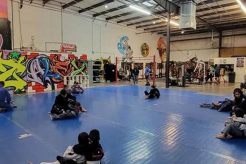 Best MMA Gyms & Training in El Paso, TX Ultimate Guide to MMA: Training, Techniques, and Top Fighters in The World Best MMA Gyms & Training in El Paso, TX | Ultimate Guide to MMA: Training, Techniques, and Top Fighters in The World