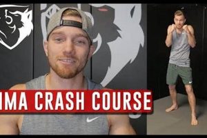 Official MMA Account: News & Highlights | Ultimate Guide to MMA: Training, Techniques, and Top Fighters in The World