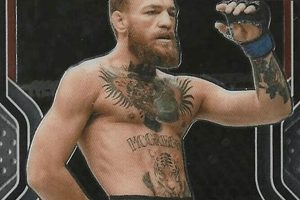 Ultimate MMA Fight Card Breakdown Ultimate Guide to MMA: Training, Techniques, and Top Fighters in The World Ultimate MMA Fight Card Breakdown | Ultimate Guide to MMA: Training, Techniques, and Top Fighters in The World