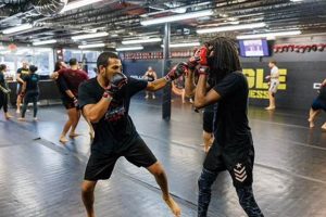 Unleash Your Primal Fighter: Jungle MMA Training | Ultimate Guide to MMA: Training, Techniques, and Top Fighters in The World
