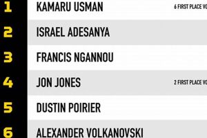Top MMA Pound-for-Pound Rankings & Analysis Ultimate Guide to MMA: Training, Techniques, and Top Fighters in The World Top MMA Pound-for-Pound Rankings & Analysis | Ultimate Guide to MMA: Training, Techniques, and Top Fighters in The World