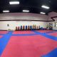 Best Woodlands Karate & MMA Training | Ultimate Guide to MMA: Training, Techniques, and Top Fighters in The World