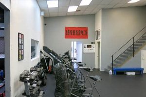 Pro MMA Fighter Geordie Jackson: Bio & Stats | Ultimate Guide to MMA: Training, Techniques, and Top Fighters in The World