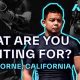 Top Alta MMA Gyms & Training Centers | Ultimate Guide to MMA: Training, Techniques, and Top Fighters in The World