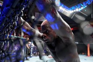 Best Action Network MMA: Predictions & Picks Ultimate Guide to MMA: Training, Techniques, and Top Fighters in The World Best Action Network MMA: Predictions & Picks | Ultimate Guide to MMA: Training, Techniques, and Top Fighters in The World