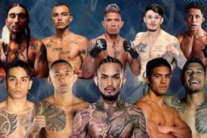 Forge Your Destiny: MMA Training & Fight Path Ultimate Guide to MMA: Training, Techniques, and Top Fighters in The World Forge Your Destiny: MMA Training & Fight Path | Ultimate Guide to MMA: Training, Techniques, and Top Fighters in The World