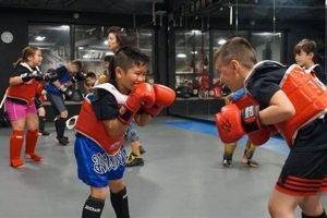 Best Children's MMA Classes: Find a Gym Near You Ultimate Guide to MMA: Training, Techniques, and Top Fighters in The World Best Children's MMA Classes: Find a Gym Near You | Ultimate Guide to MMA: Training, Techniques, and Top Fighters in The World