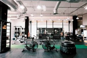 Find Your MMA Gym Near Me | Top Gyms Ultimate Guide to MMA: Training, Techniques, and Top Fighters in The World Find Your MMA Gym Near Me | Top Gyms | Ultimate Guide to MMA: Training, Techniques, and Top Fighters in The World