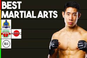 Ultimate Guide: Best Martial Art for MMA Training | Ultimate Guide to MMA: Training, Techniques, and Top Fighters in The World