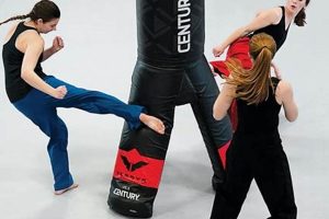 Best MMA Training Bags: Top Picks & Guide Ultimate Guide to MMA: Training, Techniques, and Top Fighters in The World Best MMA Training Bags: Top Picks & Guide | Ultimate Guide to MMA: Training, Techniques, and Top Fighters in The World