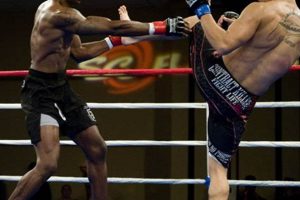 Best MMA Gyms & Training in Irvine, CA Ultimate Guide to MMA: Training, Techniques, and Top Fighters in The World Best MMA Gyms & Training in Irvine, CA | Ultimate Guide to MMA: Training, Techniques, and Top Fighters in The World