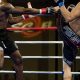 Best MMA Gyms & Training in Irvine, CA | Ultimate Guide to MMA: Training, Techniques, and Top Fighters in The World