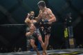 Do MMA Fighters Wear Cups? The Facts Ultimate Guide to MMA: Training, Techniques, and Top Fighters in The World Do MMA Fighters Wear Cups? The Facts | Ultimate Guide to MMA: Training, Techniques, and Top Fighters in The World