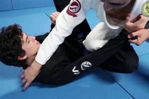 MMA Face Crank: Guide & Techniques Ultimate Guide to MMA: Training, Techniques, and Top Fighters in The World MMA Face Crank: Guide & Techniques | Ultimate Guide to MMA: Training, Techniques, and Top Fighters in The World
