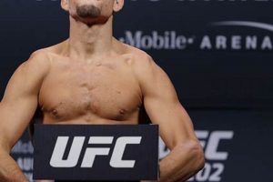 The Ultimate Guide to Nate Diaz MMA Ultimate Guide to MMA: Training, Techniques, and Top Fighters in The World The Ultimate Guide to Nate Diaz MMA | Ultimate Guide to MMA: Training, Techniques, and Top Fighters in The World