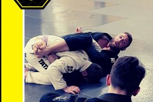 Best MMA Gyms & Training in Milwaukee Ultimate Guide to MMA: Training, Techniques, and Top Fighters in The World Best MMA Gyms & Training in Milwaukee | Ultimate Guide to MMA: Training, Techniques, and Top Fighters in The World