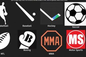 Watch MMA: Live & Upcoming Fight Events Ultimate Guide to MMA: Training, Techniques, and Top Fighters in The World Watch MMA: Live & Upcoming Fight Events | Ultimate Guide to MMA: Training, Techniques, and Top Fighters in The World