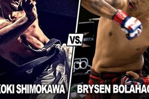 The Ultimate Guide to X1 MMA: Everything You Need to Know | Ultimate Guide to MMA: Training, Techniques, and Top Fighters in The World