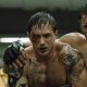 Best Mma Movies | Ultimate Guide to MMA: Training, Techniques, and Top Fighters in The World