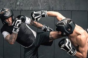 High-Tech MMA Training & Performance Ultimate Guide to MMA: Training, Techniques, and Top Fighters in The World High-Tech MMA Training & Performance | Ultimate Guide to MMA: Training, Techniques, and Top Fighters in The World
