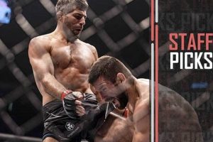 UFC's Beneil Dariush: MMA Fighter Profile | Ultimate Guide to MMA: Training, Techniques, and Top Fighters in The World