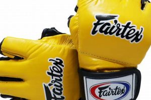 Best Fairtex MMA Gloves for Combat Sports Ultimate Guide to MMA: Training, Techniques, and Top Fighters in The World Best Fairtex MMA Gloves for Combat Sports | Ultimate Guide to MMA: Training, Techniques, and Top Fighters in The World