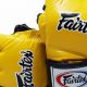 Best Fairtex MMA Gloves for Combat Sports | Ultimate Guide to MMA: Training, Techniques, and Top Fighters in The World