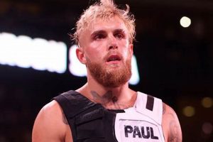 Watch: Jake Paul's PFL MMA Debut! Ultimate Guide to MMA: Training, Techniques, and Top Fighters in The World Watch: Jake Paul's PFL MMA Debut! | Ultimate Guide to MMA: Training, Techniques, and Top Fighters in The World