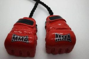 Ultimate Gifts for MMA Fans: Top Picks Ultimate Guide to MMA: Training, Techniques, and Top Fighters in The World Ultimate Gifts for MMA Fans: Top Picks | Ultimate Guide to MMA: Training, Techniques, and Top Fighters in The World