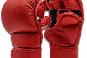 Bellicose Mma Ultimate Guide to MMA: Training, Techniques, and Top Fighters in The World Bellicose Mma | Ultimate Guide to MMA: Training, Techniques, and Top Fighters in The World