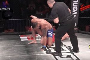 MMA's Walls of Jericho: Hold Breakdown | Ultimate Guide to MMA: Training, Techniques, and Top Fighters in The World