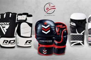 Best Boxing & MMA Equipment: Gear Guide Ultimate Guide to MMA: Training, Techniques, and Top Fighters in The World Best Boxing & MMA Equipment: Gear Guide | Ultimate Guide to MMA: Training, Techniques, and Top Fighters in The World