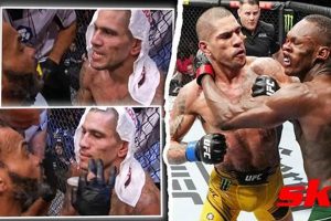 Dominating the 5th Round: MMA Championship Tips Ultimate Guide to MMA: Training, Techniques, and Top Fighters in The World Dominating the 5th Round: MMA Championship Tips | Ultimate Guide to MMA: Training, Techniques, and Top Fighters in The World