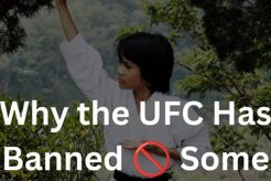 Is Wing Chun Allowed in MMA Fights? Ultimate Guide to MMA: Training, Techniques, and Top Fighters in The World Is Wing Chun Allowed in MMA Fights? | Ultimate Guide to MMA: Training, Techniques, and Top Fighters in The World