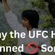 Is Wing Chun Allowed in MMA Fights? | Ultimate Guide to MMA: Training, Techniques, and Top Fighters in The World