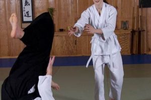 Aikido vs. MMA: Which Martial Art Is Right for You? Ultimate Guide to MMA: Training, Techniques, and Top Fighters in The World Aikido vs. MMA: Which Martial Art Is Right for You? | Ultimate Guide to MMA: Training, Techniques, and Top Fighters in The World