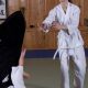 Aikido vs. MMA: Which Martial Art Is Right for You? | Ultimate Guide to MMA: Training, Techniques, and Top Fighters in The World