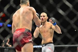 Best MMA Predictions & Fight Previews Ultimate Guide to MMA: Training, Techniques, and Top Fighters in The World Best MMA Predictions & Fight Previews | Ultimate Guide to MMA: Training, Techniques, and Top Fighters in The World