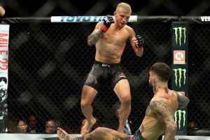 Official EAPN MMA Championship Guide Ultimate Guide to MMA: Training, Techniques, and Top Fighters in The World Official EAPN MMA Championship Guide | Ultimate Guide to MMA: Training, Techniques, and Top Fighters in The World