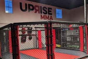 Best MMA Gym: Uprise MMA Venice CA Ultimate Guide to MMA: Training, Techniques, and Top Fighters in The World Best MMA Gym: Uprise MMA Venice CA | Ultimate Guide to MMA: Training, Techniques, and Top Fighters in The World