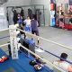 Best MMA Gym in Boca Raton: Train Now! | Ultimate Guide to MMA: Training, Techniques, and Top Fighters in The World