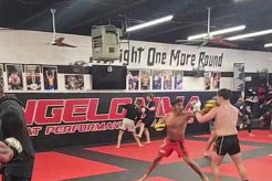 Angelo Mma Ultimate Guide to MMA: Training, Techniques, and Top Fighters in The World Angelo Mma | Ultimate Guide to MMA: Training, Techniques, and Top Fighters in The World