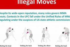Official MMA Rules: A Complete Guide Ultimate Guide to MMA: Training, Techniques, and Top Fighters in The World Official MMA Rules: A Complete Guide | Ultimate Guide to MMA: Training, Techniques, and Top Fighters in The World
