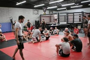 Top 10 Best MMA Gyms in America 2024 Ultimate Guide to MMA: Training, Techniques, and Top Fighters in The World Top 10 Best MMA Gyms in America 2024 | Ultimate Guide to MMA: Training, Techniques, and Top Fighters in The World