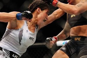 Epic Female MMA vs Male Showdowns! Ultimate Guide to MMA: Training, Techniques, and Top Fighters in The World Epic Female MMA vs Male Showdowns! | Ultimate Guide to MMA: Training, Techniques, and Top Fighters in The World