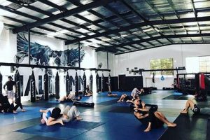 Unleash Your Inner Fighter: Adrenaline MMA Fitness Training Ultimate Guide to MMA: Training, Techniques, and Top Fighters in The World Unleash Your Inner Fighter: Adrenaline MMA Fitness Training | Ultimate Guide to MMA: Training, Techniques, and Top Fighters in The World