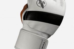 Best Hayabusa MMA Gloves: Top Fight Gear Ultimate Guide to MMA: Training, Techniques, and Top Fighters in The World Best Hayabusa MMA Gloves: Top Fight Gear | Ultimate Guide to MMA: Training, Techniques, and Top Fighters in The World