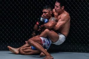 Jeff Chan MMA Fight Record & Stats Ultimate Guide to MMA: Training, Techniques, and Top Fighters in The World Jeff Chan MMA Fight Record & Stats | Ultimate Guide to MMA: Training, Techniques, and Top Fighters in The World